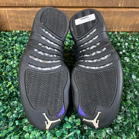 Air Jordan 12 Dark Concord