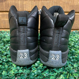 Air Jordan 12 Utility