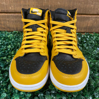 Air Jordan 1 Pollen