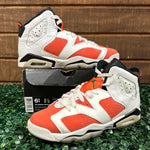 Air Jordan 6 Gatorade