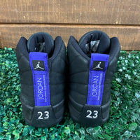 Air Jordan 12 Dark Concord