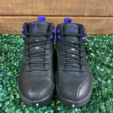 Air Jordan 12 Dark Concord